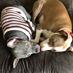 Meet your Posher, Brianna